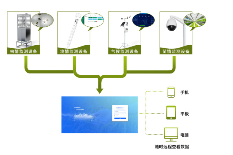 農(nóng)業(yè)四情監(jiān)測(cè)系統(tǒng)拓?fù)鋱D